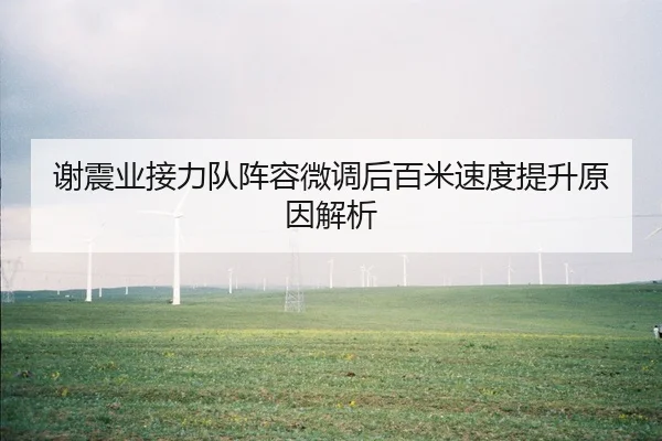 谢震业接力队阵容微调后百米速度提升原因解析